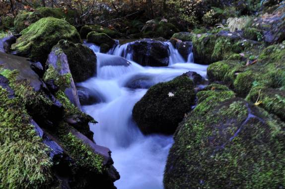 Riacho com pequenas cascatas no Umpqua National Forest, no sul do Oregon, estado da costa oeste dos Estados Unidos
